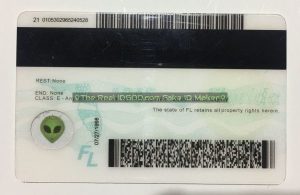 Florida Fake ID