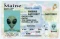 Maine Fake ID