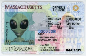 Massachusetts Fake ID