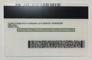Minnesota Fake ID