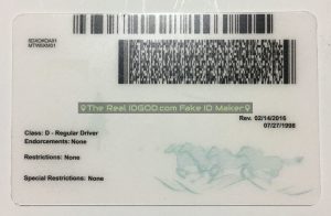 Montana Fake ID