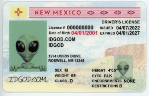 New Mexico Fake ID