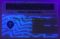 New York Fake ID - Image 3