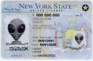 New York Fake ID
