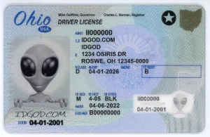 Ohio Fake ID