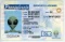 Pennsylvania Fake ID
