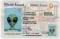 Rhode Island Fake ID