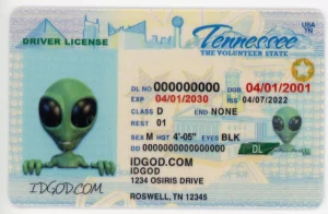 Tennessee Fake ID