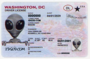Washington DC Fake ID