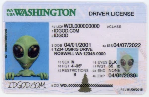 Washington Fake ID